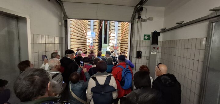 2026_03_14-16 Izlet v Gardo (146)